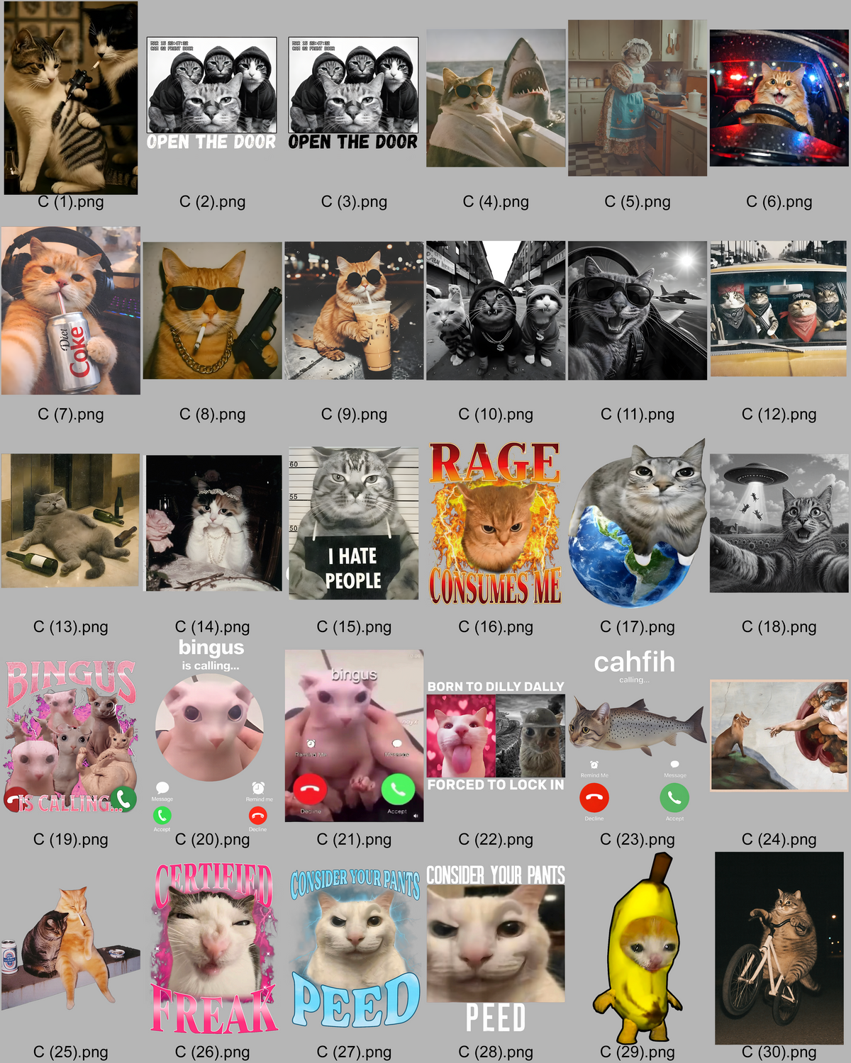 Custom Cat t-shirt