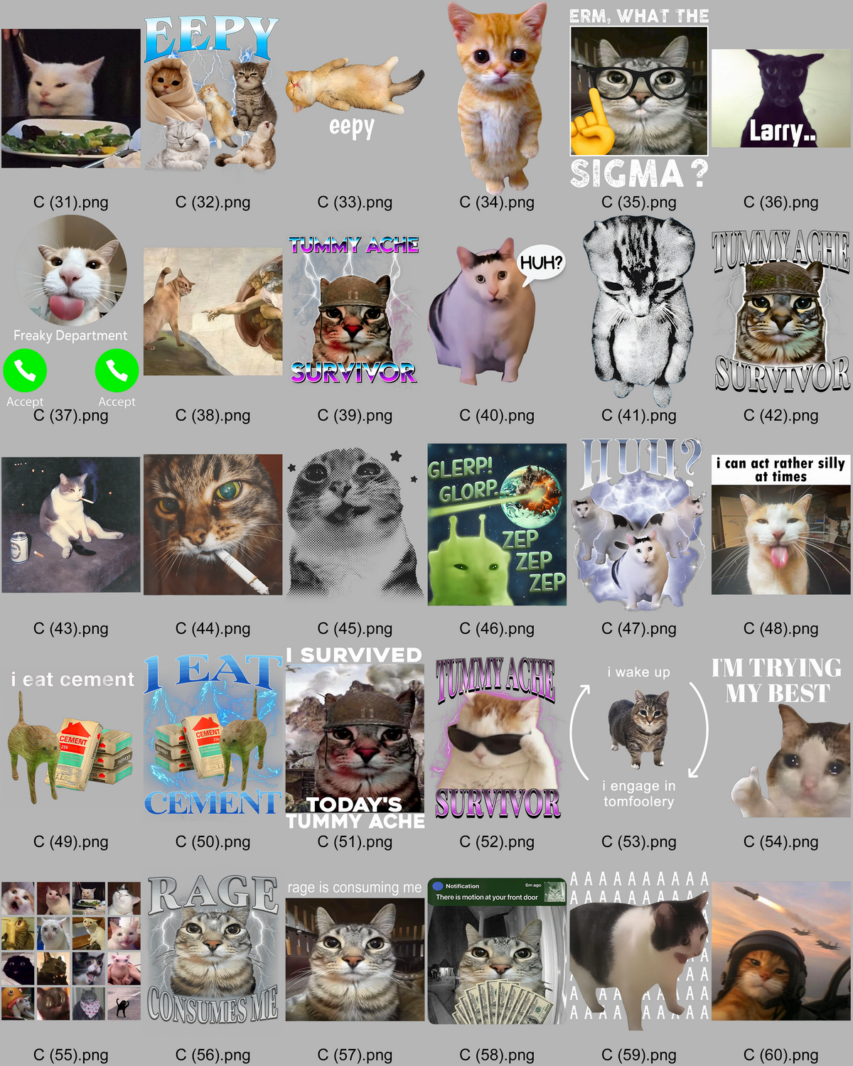 Custom Cat t-shirt